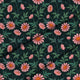 Oxeye Daisy-Panama