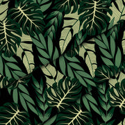 Dunkelgrüne Monstera