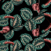 Red Tropical Maranta-Panama