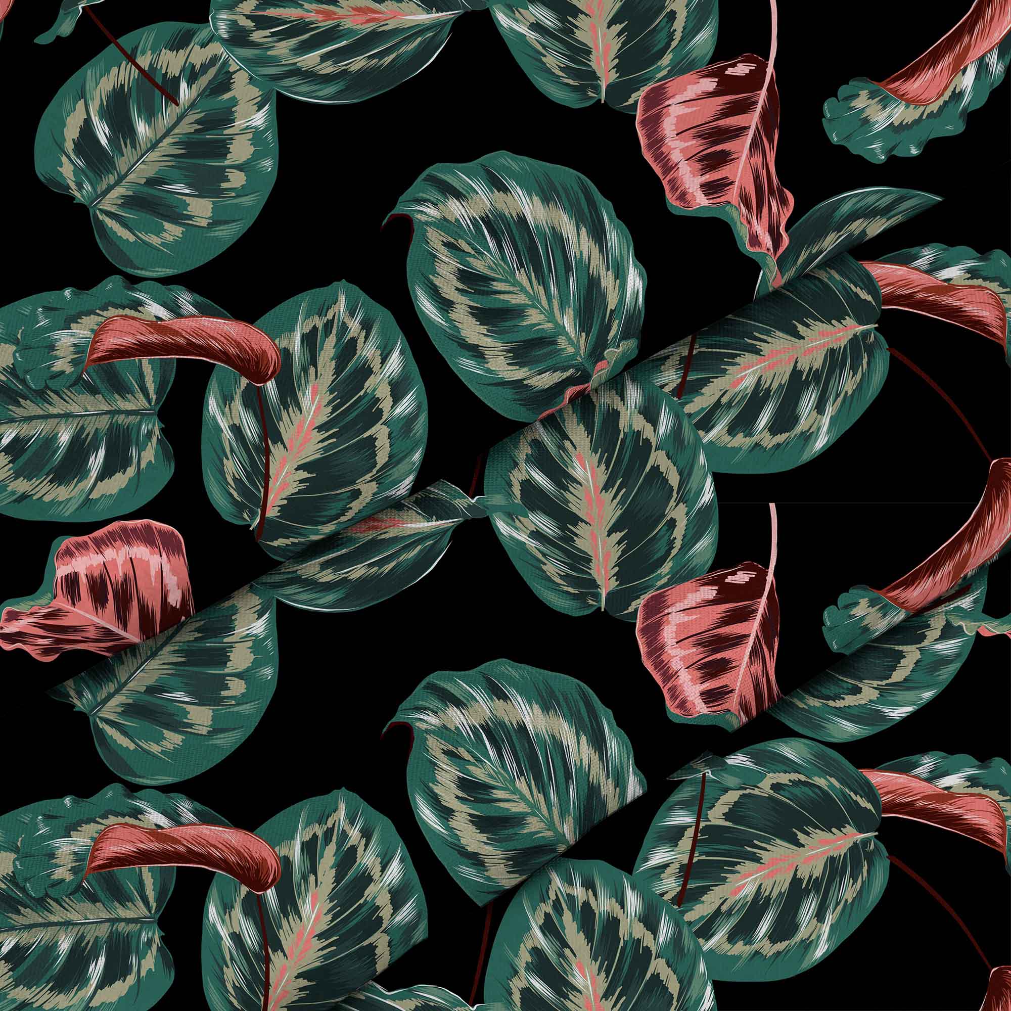 Red Tropical Maranta-Panama