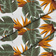 Tropical Strelitzia-Tablecloth Fabric