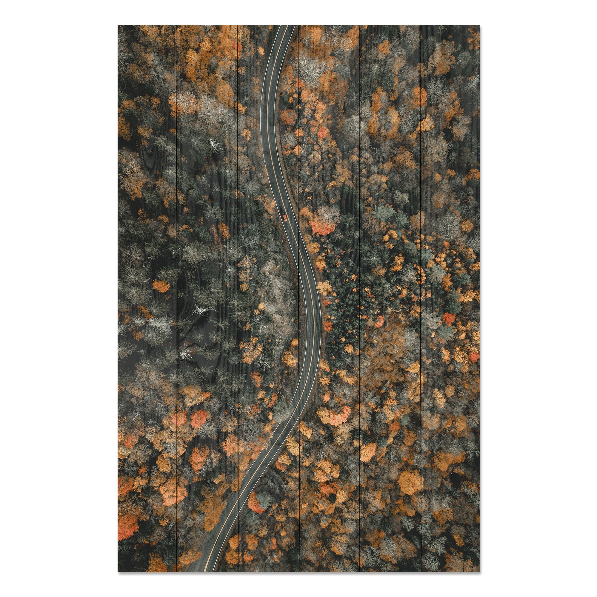 Bild Holz Gewundene Straße-50x70 cm