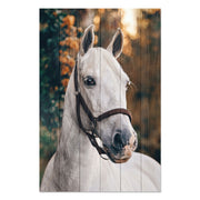 Wood Picture White Horse-20x30 cm