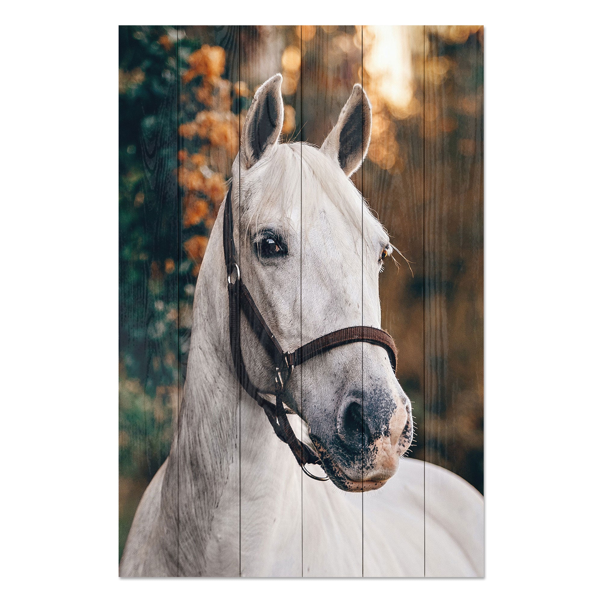 Wood Picture White Horse-20x30 cm