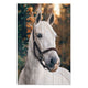 Wood Picture White Horse-30x40 cm