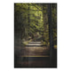 Obraz Wood Stairs in the Forest-30x30 cm