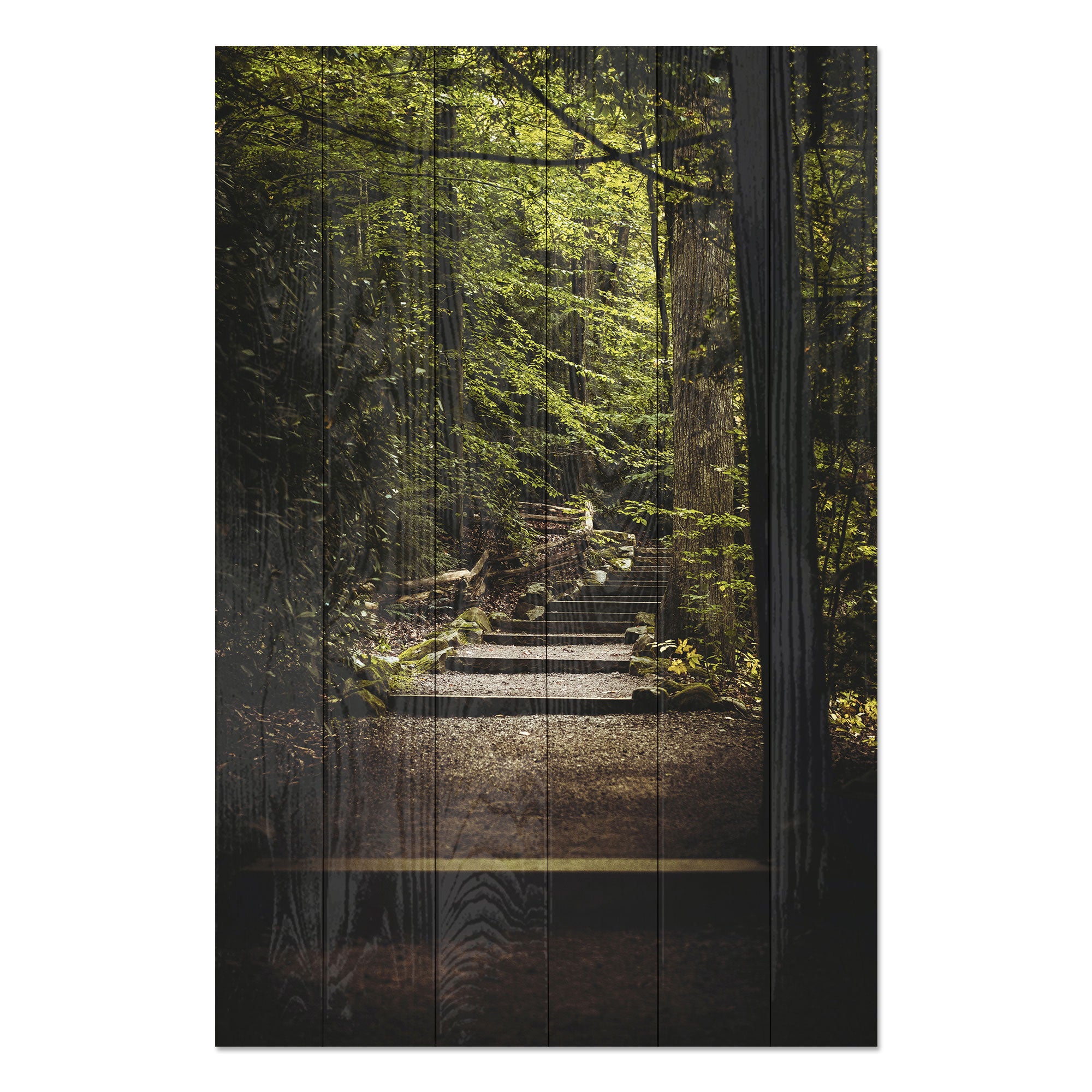 Obraz Wood Stairs in the Forest-30x40 cm