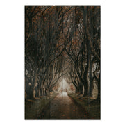 Bild Holz Straße zwischen den Bäumen-40x60 cm