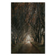 Bild Holz Straße zwischen den Bäumen-40x60 cm