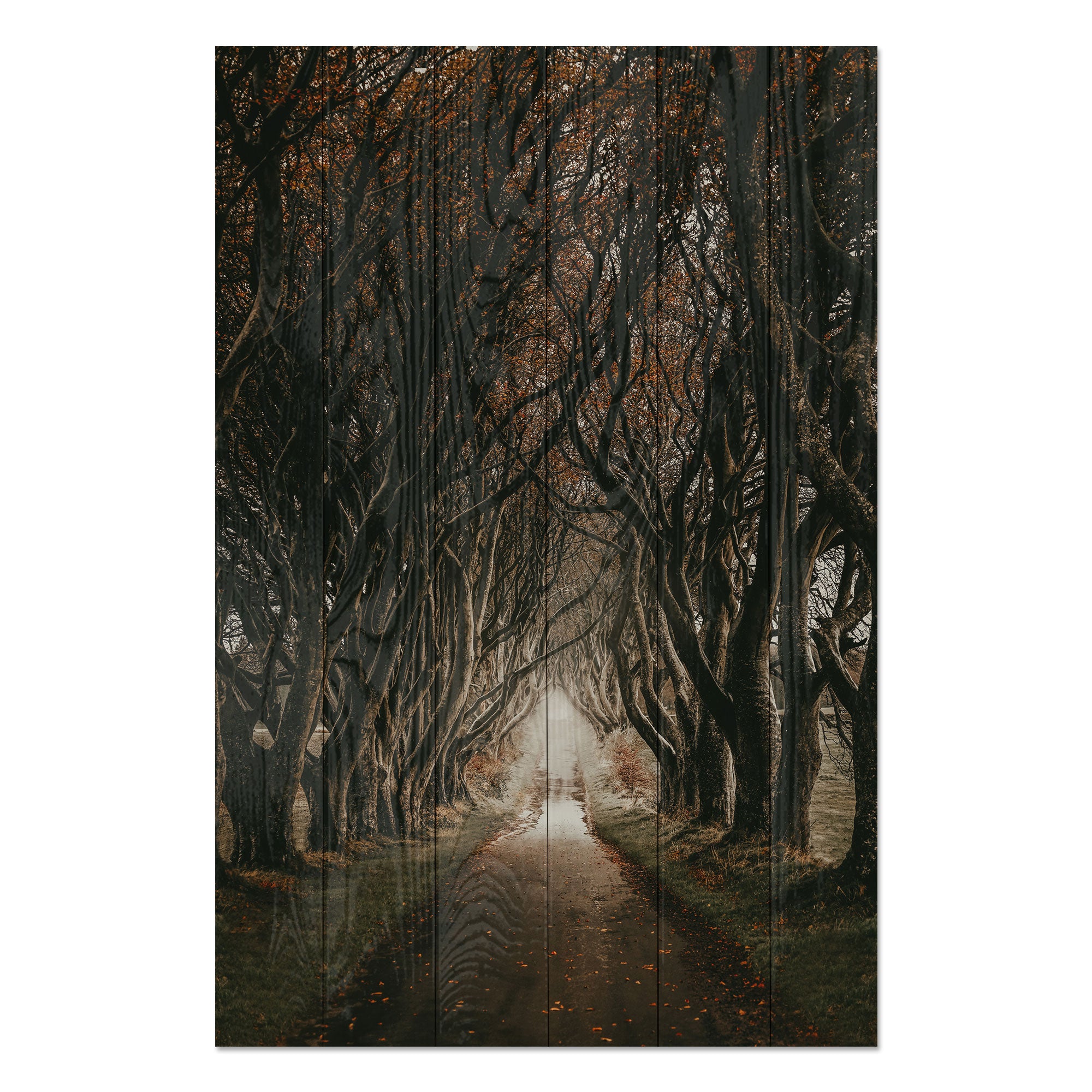 Bild Holz Straße zwischen den Bäumen-50x70 cm