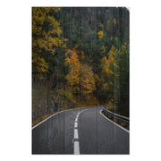 Wood Painting Road through the Forest-40x60 cm