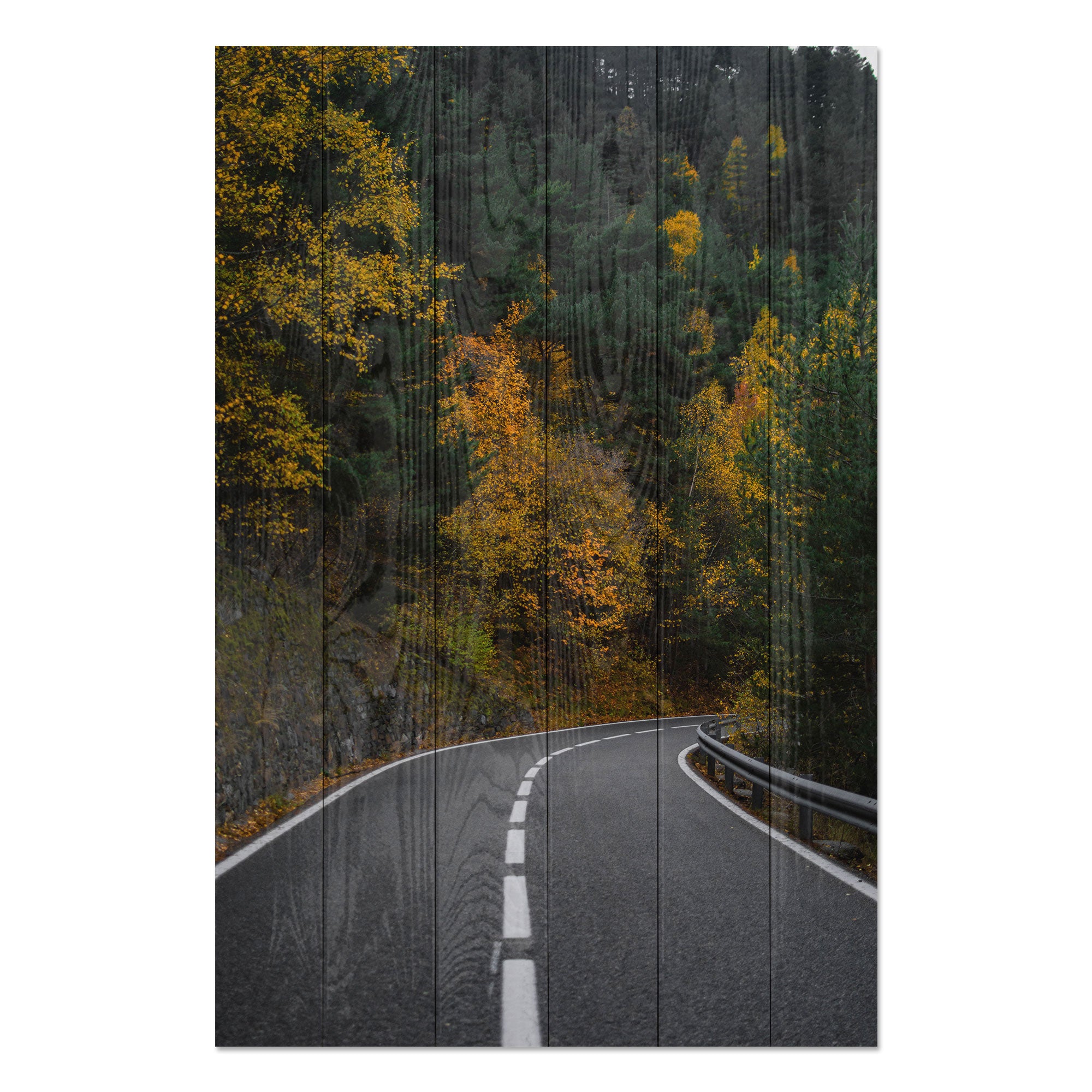 Bild Holz Straße durch den Wald