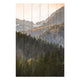 Obraz Wood Trees in the Mountains-20x30 cm
