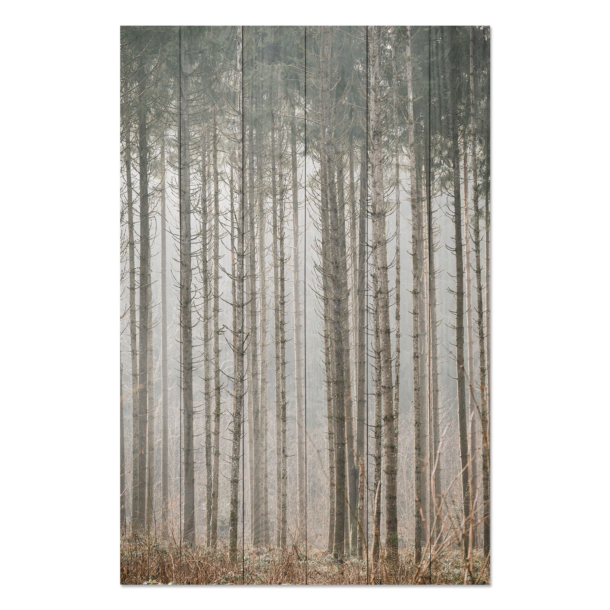 Obraz Wood Tajomný les-30x40 cm