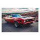 Bild Holz Roter Mustang-40x60 cm