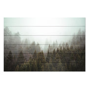 Bild Wood Nebliger Nadelwald-20x30 cm