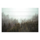 Bild Wood Nebliger Nadelwald-20x30 cm