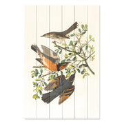 Bild Wood Passo Dello Stelvio-40x60 cm