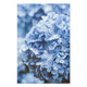 Bild Wood Hortensie-30x30 cm