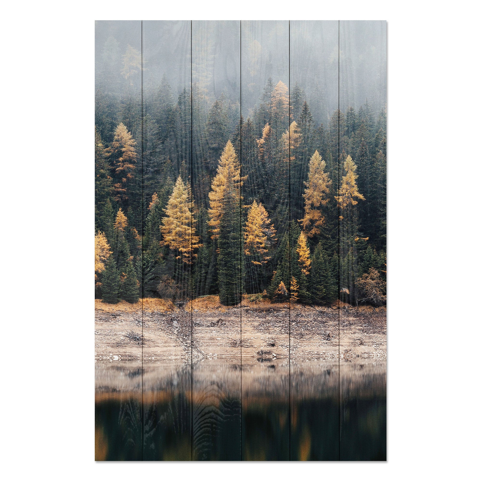 Bild Wood Nebelwald-50x70 cm