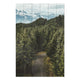 Obraz Wood Forest Track-40x60 cm
