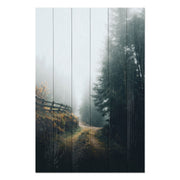 Obraz Wood Foggy Landscape