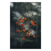 Bild Wood Little Orange Flowers