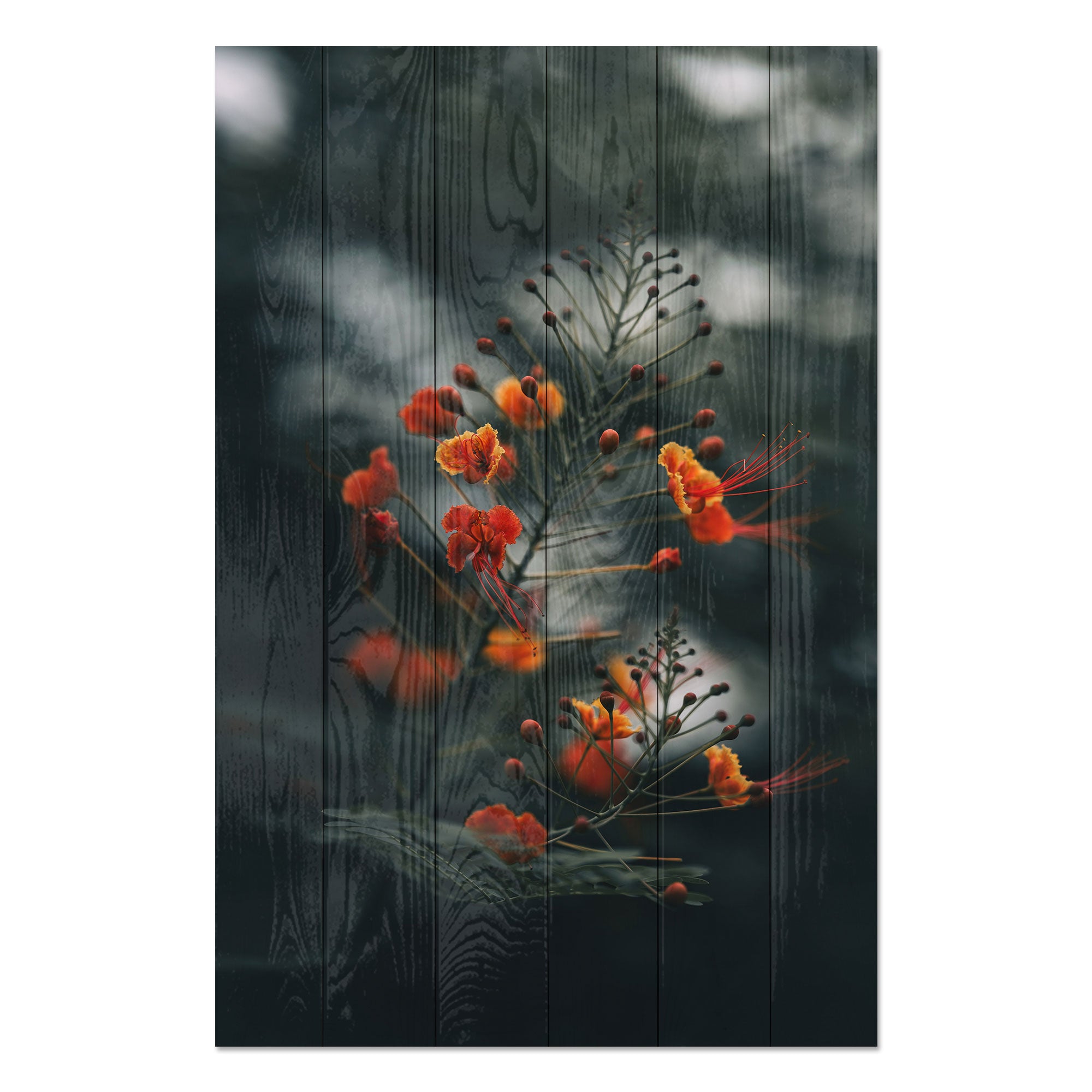 Bild Wood Little Orange Flowers