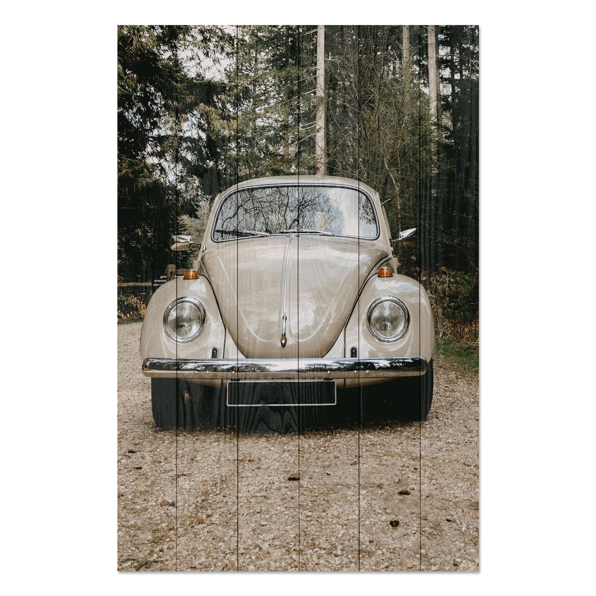 Obraz Wood Into the Wild-40x60 cm