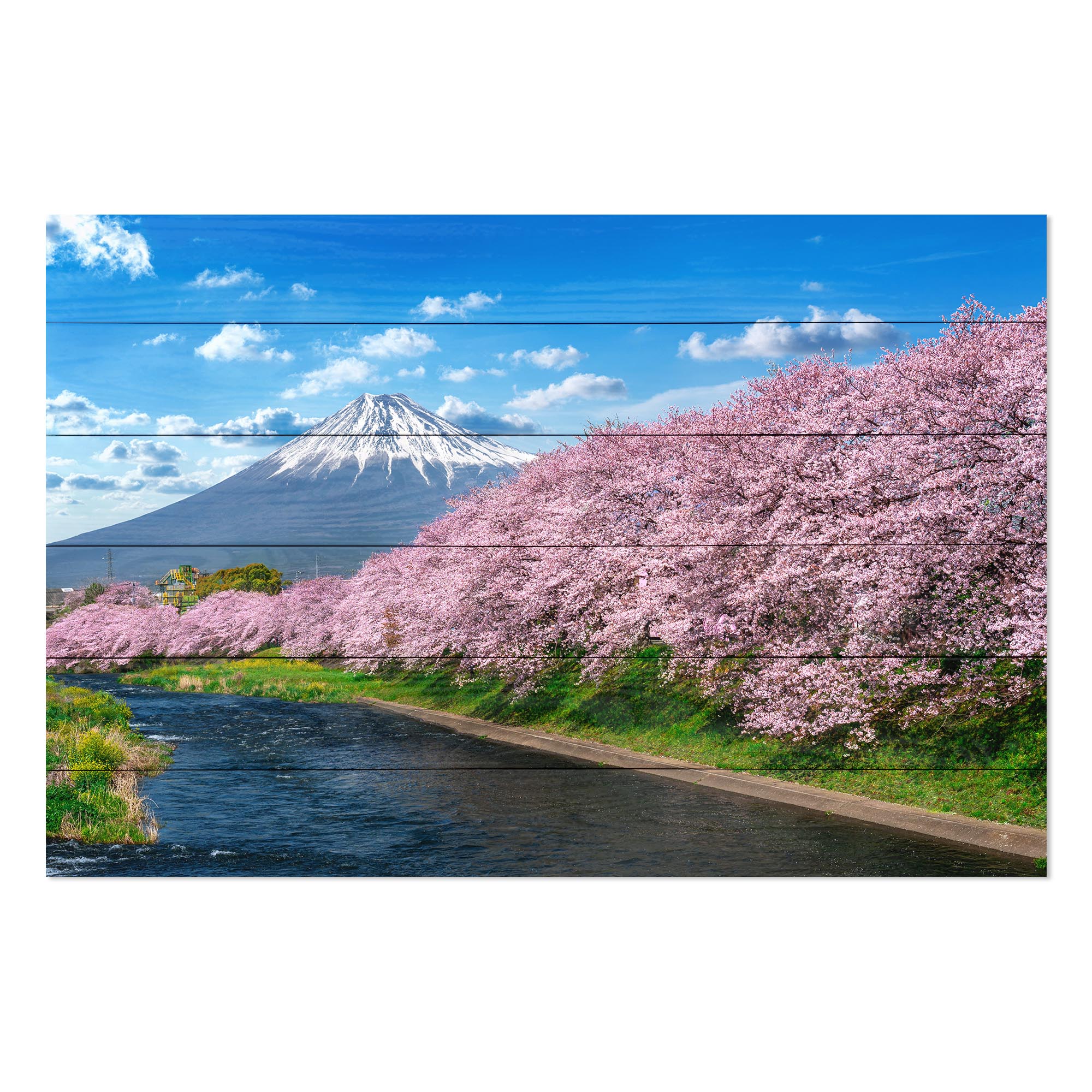 Bild Wood Fuji-Berg im Frühling