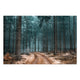 Bild Wood Pfad im Wald-30x40 cm