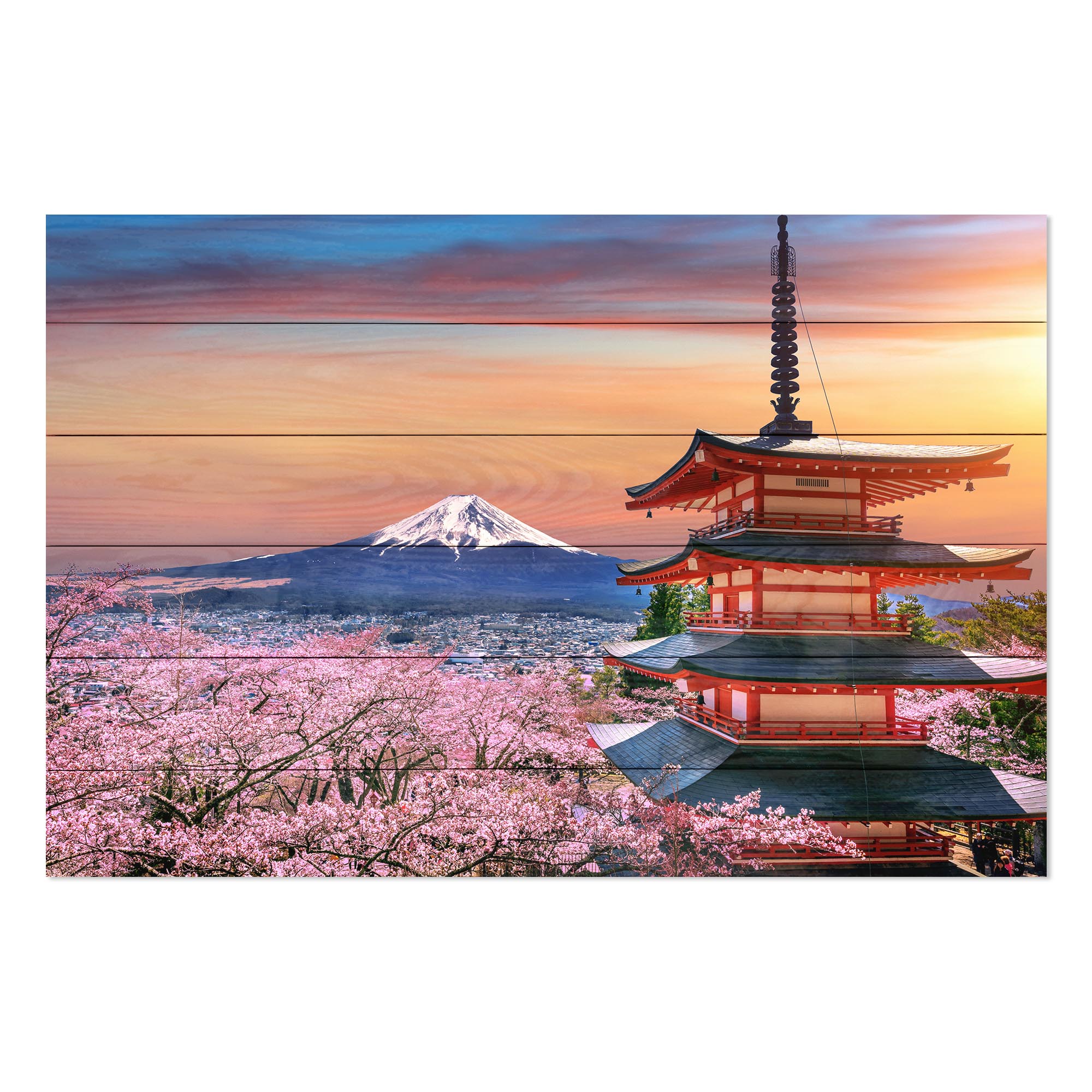 Bild Wood Kirschblüten und Fuji-Berg-30x40 cm