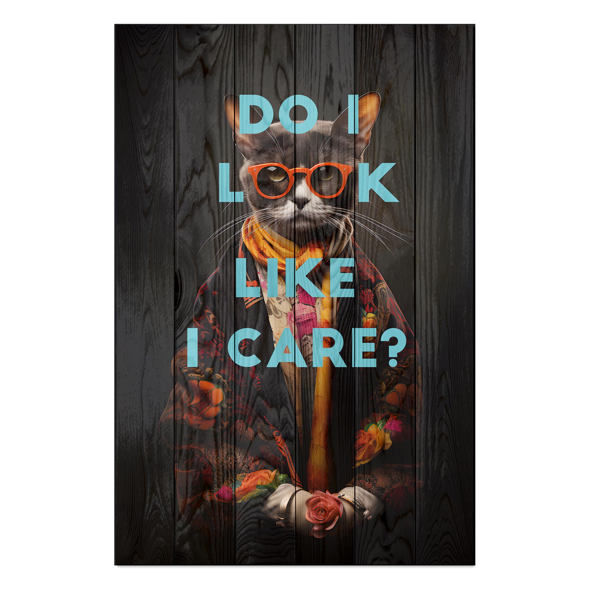Bild Wood Do I look like I care cat