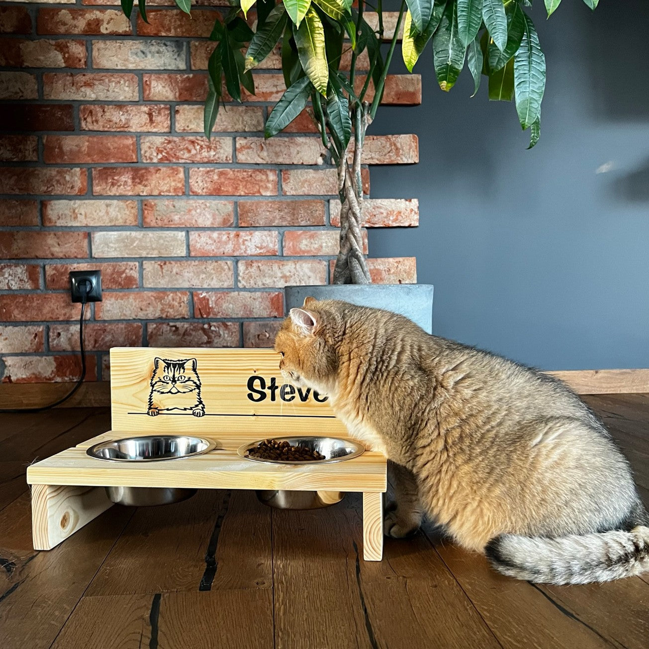 Cat Bowl Stand Australian Mist-S