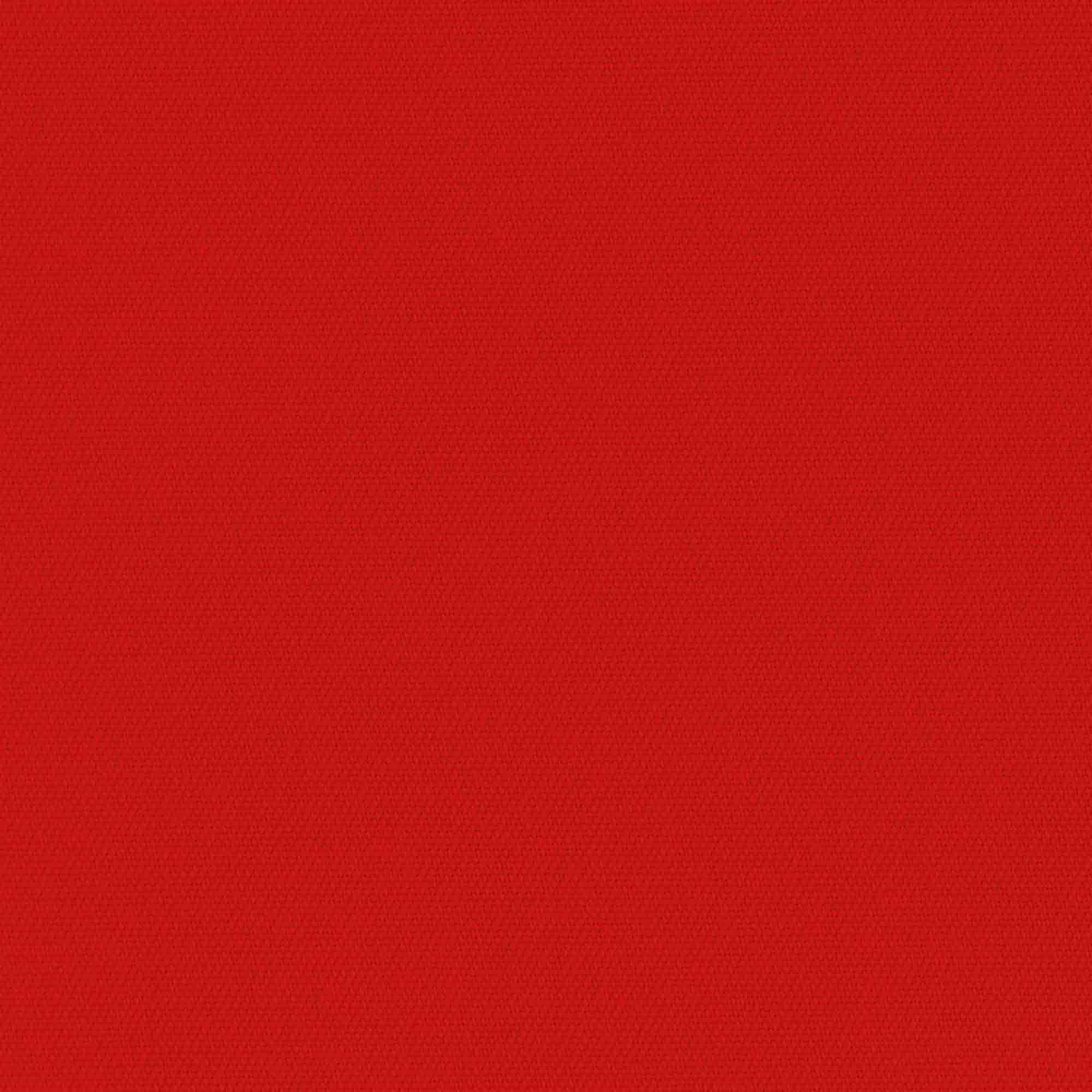 Rot