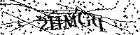 Bitte geben Sie die Buchstaben und Zahlen unten ein
