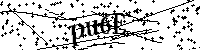Bitte geben Sie die Buchstaben und Zahlen unten ein