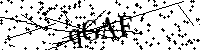 Bitte geben Sie die Buchstaben und Zahlen unten ein