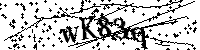 Bitte geben Sie die Buchstaben und Zahlen unten ein