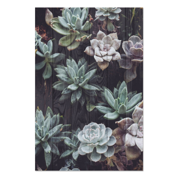 Bild auf Holz Succulents