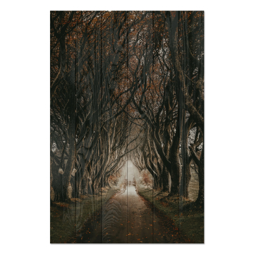Bild auf Holz Road among the Trees