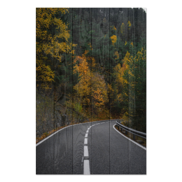 Bild auf Holz Road throught the Forest