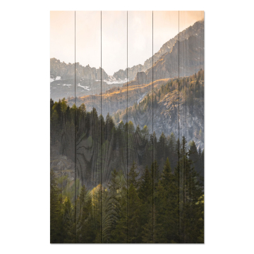 Bild auf Holz Trees in the Mountains