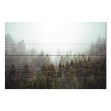 Bild auf Holz Misty Coniferous Forest