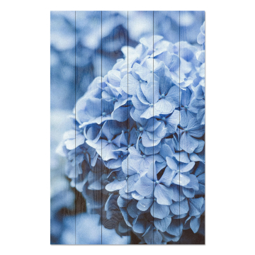 Bild auf Holz Hydrangea