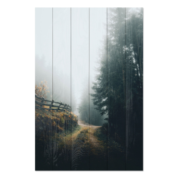Bild auf Holz Foggy Landscape