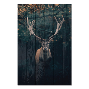 Bild auf Holz Deer
