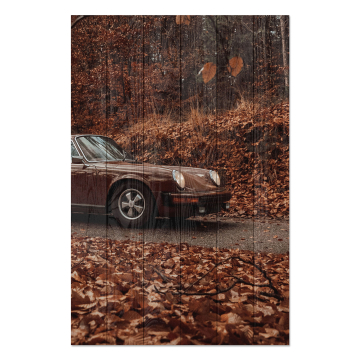 Bild auf Holz Field Brown