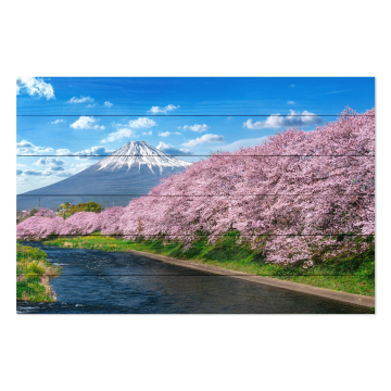 Bild auf Holz Fuji Mountain in Spring