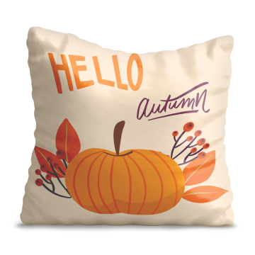 Kissen Pumpkin 